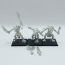 Warhammer The Old World: Warriors of Chaos Metal Chaos Trolls (AH143)