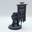 Warhammer 40k: Space Marines Crimson Fists Dark Imperium Ancient - Painted (AD173)