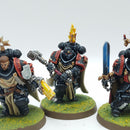 Warhammer 40k: Space Marines Black Templars Sword Brethren - Well Painted (AJ210)