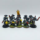Warhammer 40k: Space Marines Black Templars Primaris Crusader Squad - Well Painted (AH107)