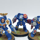 Warhammer 40k: Space Marines Ultramarines Assault Terminators Classic Paint Scheme - Painted (AW005)