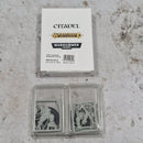 Warhammer Ogre Kingdoms Maneater (Pirate) in Box BB211