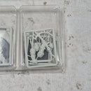 Warhammer Ogre Kingdoms Maneater (Pirate) in Box BB211