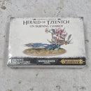 Warhammer Age of Sigmar Herald of  Tzeentch on Burning Chariot - in Box BB233