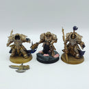 Warhammer 40k: Adeptus Custodes Allarus Custodians and Shield Captain- Part Painted (AI188)