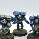 Warhammer 40k: Space Marines Vanguard Veterans - Painted (AT187)