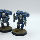 Warhammer 40k: Space Marines Vanguard Veterans - Painted (AT187)