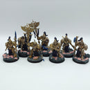 Warhammer 40k: Adeptus Custodes Wardens - Painted (BF021)