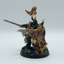 Warhammer Age of Sigmar: Slaves to Darkness Exalted Hero of Chaos - Well Painted (BC155)