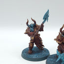 Warhammer Age of Sigmar: Slaves to Darkness Chaos Chosen (BJ031)