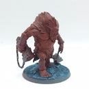 Warhammer Age of Sigmar: Slaves to Darkness Fomoroid Crusher (AI105)