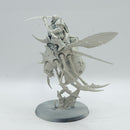 Warhammer Age of Sigmar: Maggotkin of Nurgle Pusgoyle Blightlord (AI051)