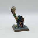 Warhammer The Old World: Orcs & Goblins Orc Shaman - Well Painted (AF101)