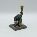 Warhammer The Old World: Orcs & Goblins Orc Shaman - Well Painted (AF101)