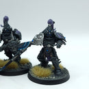 Warhammer 40k: Adeptus Custodes Custodian Guard - Painted (BC199)