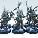 Warhammer Age of Sigmar: Disciples of Tzeentch Tzaangors - Well Painted (BC191)