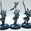 Warhammer Age of Sigmar: Disciples of Tzeentch Tzaangors - Well Painted (BC191)