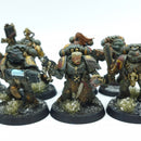 Warhammer 40k: Space Marines Space Wolves Grey Hunters - Painted (BH204)