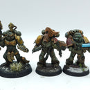 Warhammer 40k: Space Marines Space Wolves Grey Hunters - Painted (BH204)