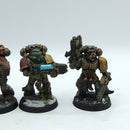 Warhammer 40k: Space Marines Space Wolves Grey Hunters - Painted (BH204)