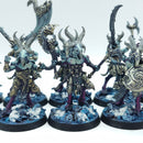 Warhammer Age of Sigmar: Disciples of Tzeentch Tzaangors - Well Painted (BC193)