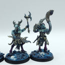Warhammer Age of Sigmar: Disciples of Tzeentch Tzaangors - Well Painted (BC193)