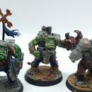 Warhammer 40k: Ork Nobz - Painted (AP012)