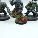 Warhammer 40k: Ork Nobz - Painted (AP012)