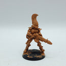 Warhammer 40k: Aeldari Eldar Finecast Fire Dragons (BH201)
