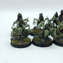 Warhammer Age of Sigmar: Flesh Eater Courts Crypt Ghouls - Painted (BH203)