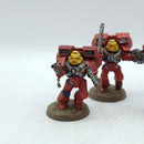 Warhammer 40k: Space Marines Blood Angels Assault Squad (BJ006)