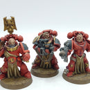 Warhammer 40k: Space Marines Blood Angels Sternguard Veterans (BH030)