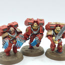 Warhammer 40k: Space Marines Blood Angels Vanguard Veterans Squad (AF054)