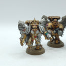 Warhammer 40k: Space Marines Blood Angels Sanguinary Guard OLD (AQ067)