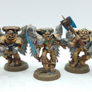 Warhammer 40k: Space Marines Blood Angels Sanguinary Guard OLD (AQ067)