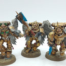 Warhammer 40k: Space Marines Blood Angels Sanguinary Guard OLD (AQ067)