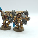 Warhammer 40k: Space Marines Blood Angels Sanguinary Guard OLD (AQ067)