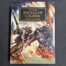 Warhammer The Horus Heresy: Angels Of Caliban By Gav Thorpe First Edition Hardback (AS808) AS808