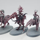 Warhammer 40k: Chaos Demons Seekers Of Slaanesh BJ091