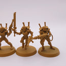 Warhammer 40k: Aeldari Farseer and Storm Guardians AC081