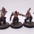Warhammer Underworlds Garrek's Reavers - Painted AW098