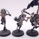 Warhammer Age Of Sigmar: Daughters Of Khaine Witch Aelves  BH192