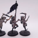 Warhammer Age Of Sigmar: Daughters Of Khaine Witch Aelves  BH192