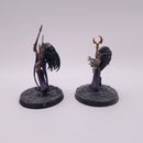 Warhammer Age Of Sigmar: Daughters Of Khaine Slaughter Queen and Dark Elf Supreme Sorceress AZ159