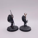 Warhammer Age Of Sigmar: Daughters Of Khaine Slaughter Queen and Dark Elf Supreme Sorceress AZ159
