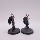 Warhammer Age Of Sigmar: Daughters Of Khaine Slaughter Queen and Dark Elf Supreme Sorceress AZ159
