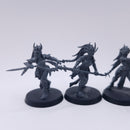 Warhammer Age of Sigmar: Daughters of Khaine Blood Hags BI016