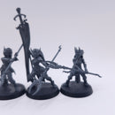 Warhammer Age of Sigmar: Daughters of Khaine Blood Hags BI016
