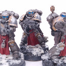 Warhammer 40k: Space Marines Sternguard Veteran Squad Iron Warriors AT220