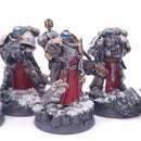 Warhammer 40k: Space Marines Sternguard Veteran Squad Iron Warriors AT220